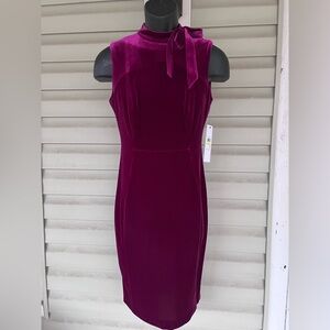 CALVIN KLEIN Dress TIE NECK Cerise Crushed Velvet Sleeveless Sheath Sz 4 NWT